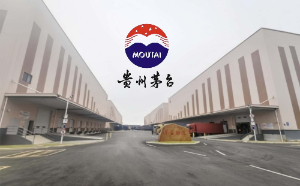 Fé_(ti)pǻ@I(y)T(mn)