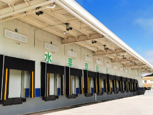 F·ĥF·ڰbжϵy(tng)